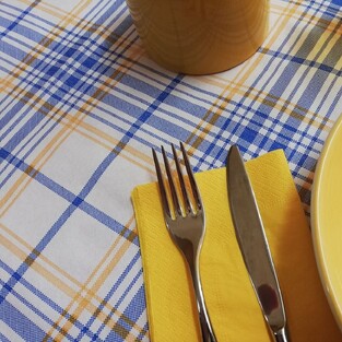 Osteria Blue ⫸ Checkered 2-ply disposable paper tablecloth in blue